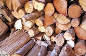 2026_1image_15_30_359834242timber-ll