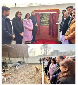 WhatsApp Image 2026-01-18 at 3.10.04 PM (1)