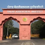 विशेष रिपोर्ट: सरकारी दफ्तरों में अब ‘मुफ्त की बिजली’ पर ताला, अधिकारियों की ऐयाशी पर चला PSPCL का चाबुक