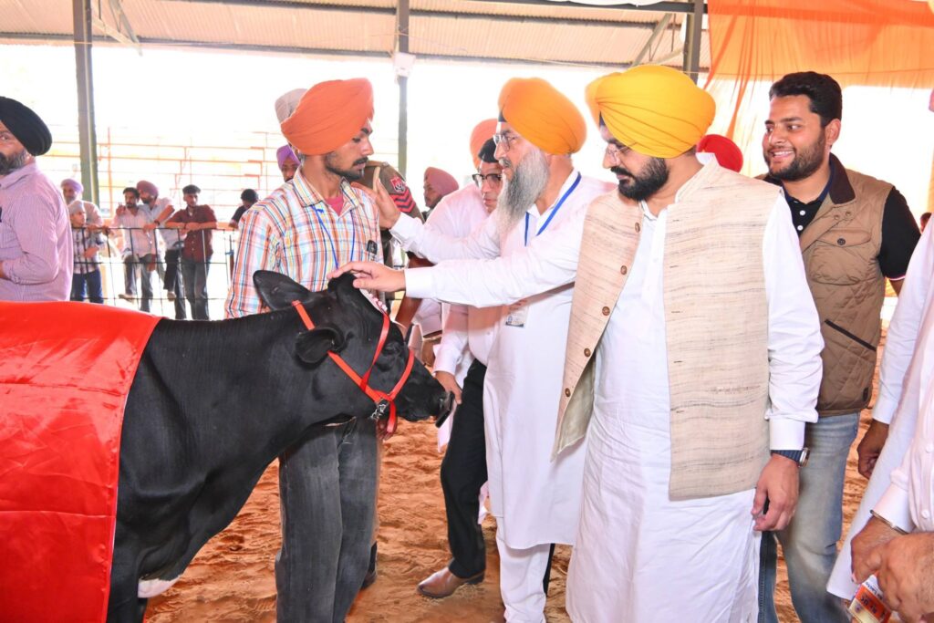 646376455_1359637569524320_7403410114237022926_n