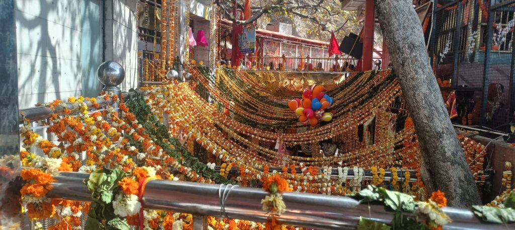 650223337_1355493763281869_7902325432523064464_n