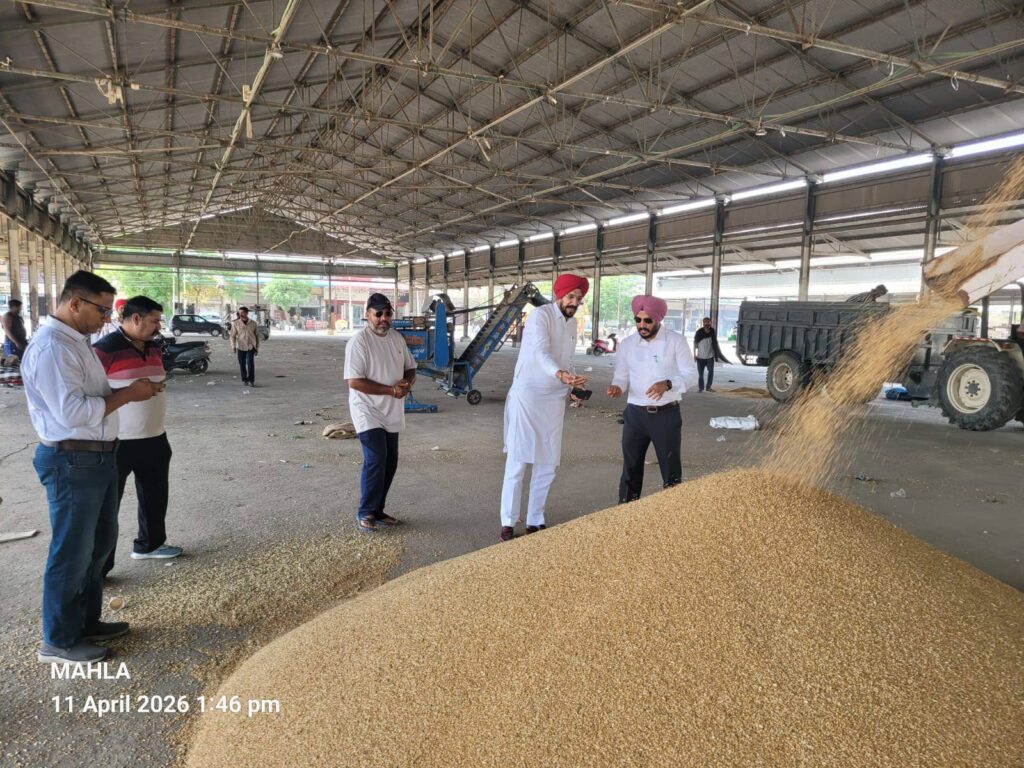 669647165_1390491529772257_3790759991658644024_n