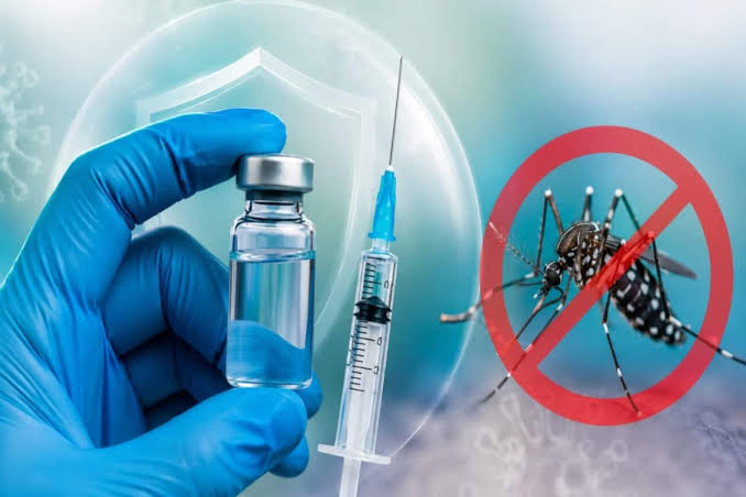 भारत में डेंगू की पहली वैक्सीन को मंजूरी, 4 से 60 वर्ष के लोगों को मिलेगा लाभ
