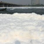 images (6)